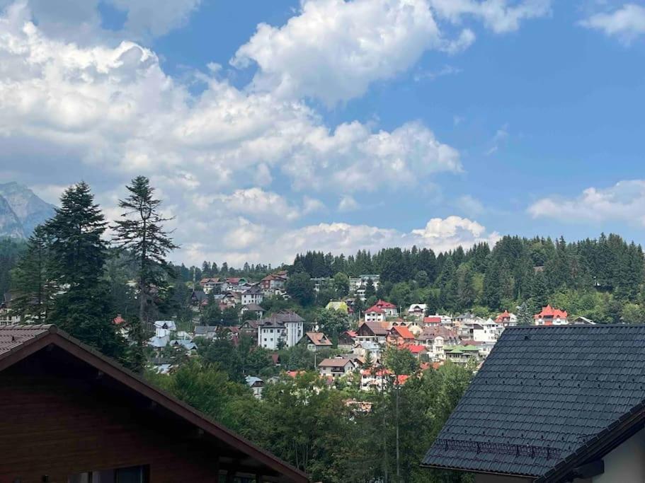 Tequila Vilă Sinaia
